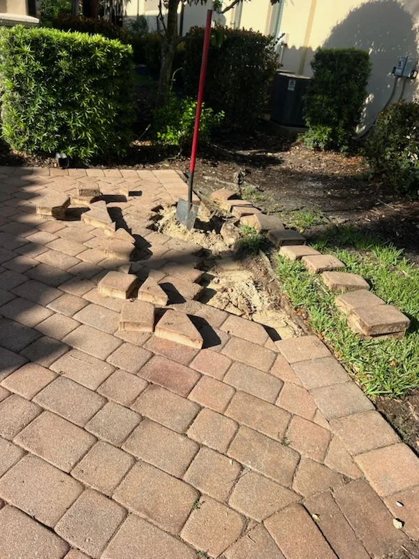 Repair the Pavers project 1