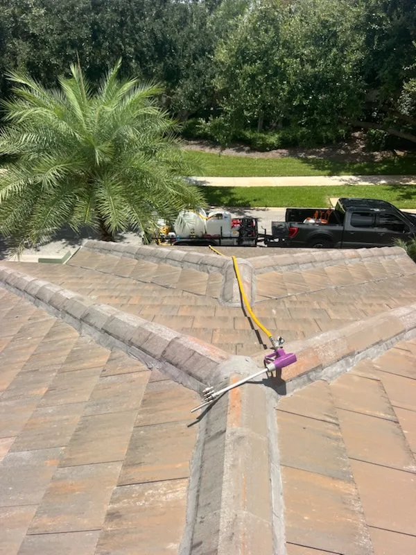 Soft Wash for the Roof project 1