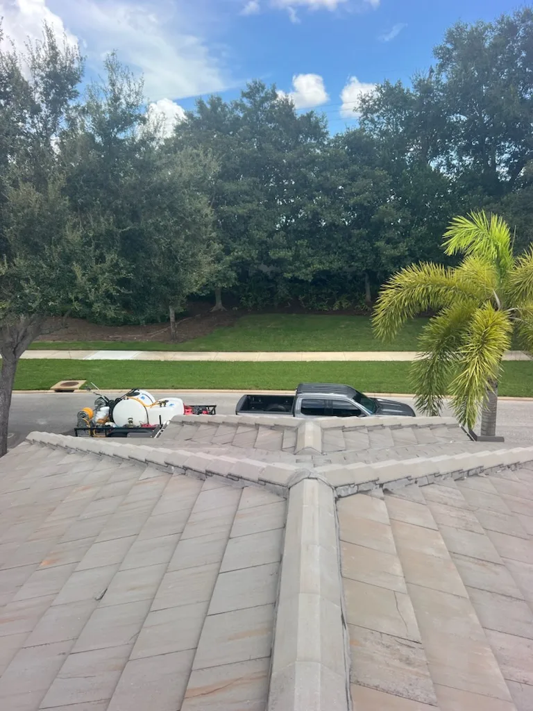 Soft Wash for the Roof project 2