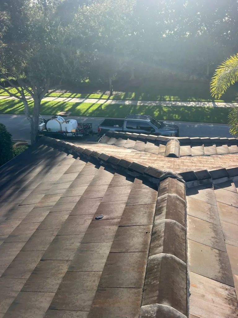 Soft Wash for the Roof project 3