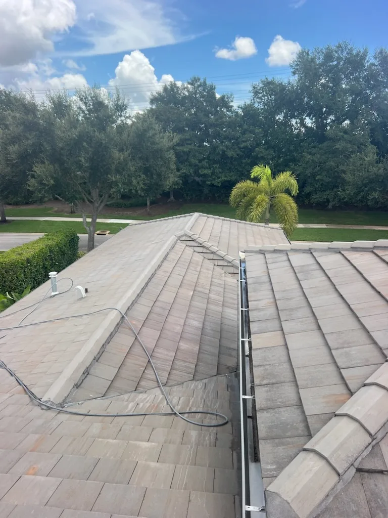 Soft Wash for the Roof project 4