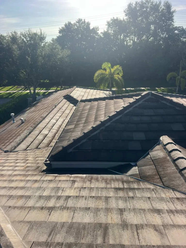 Soft Wash for the Roof project 5