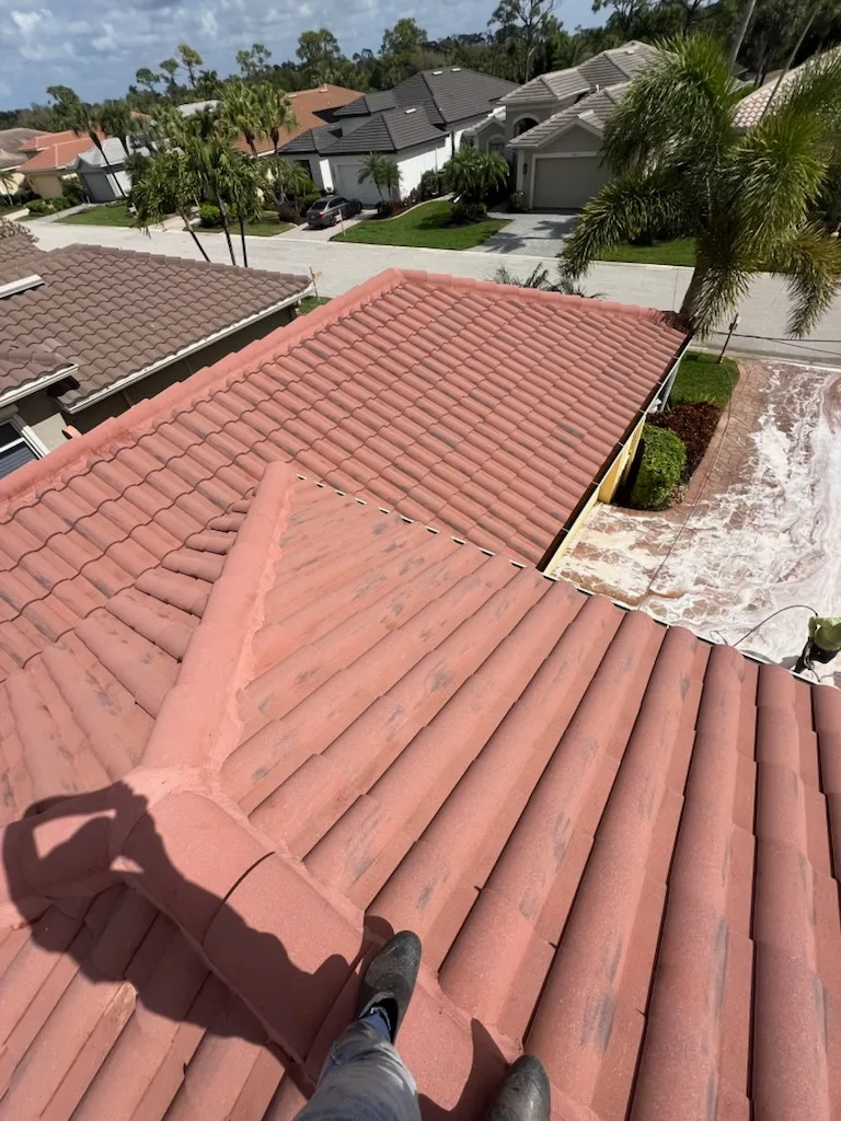 Soft Wash for the Roof project 7