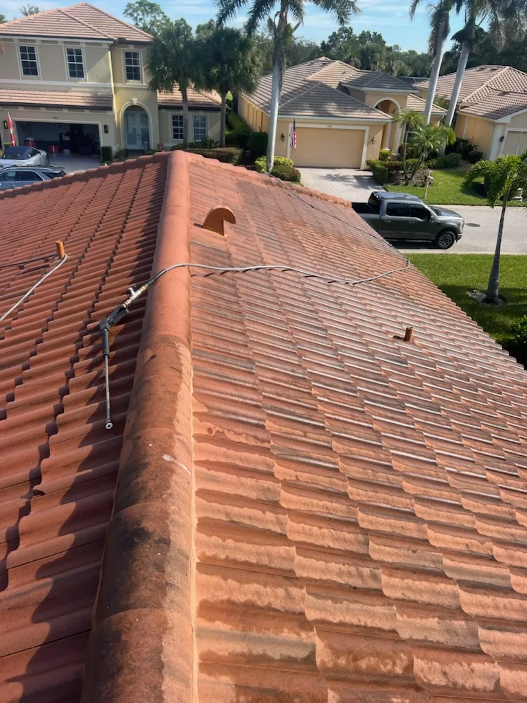 Soft Wash for the Roof project 8