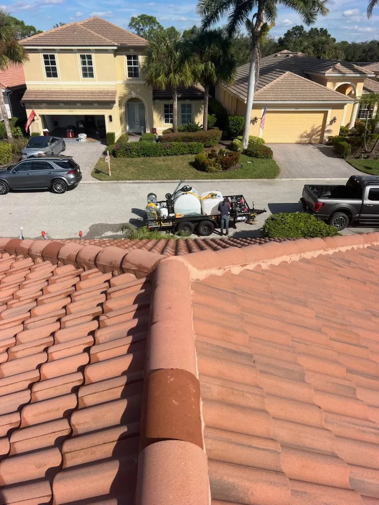 Soft Wash for the Roof project 9