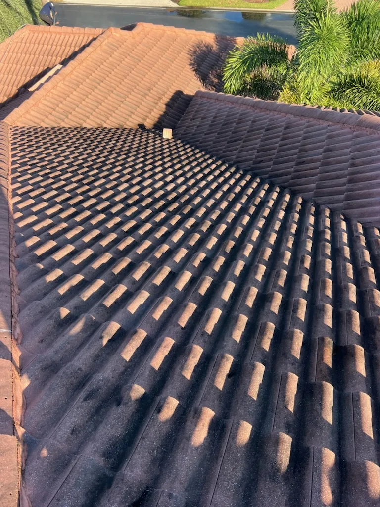 Soft Wash for the Roof project 10