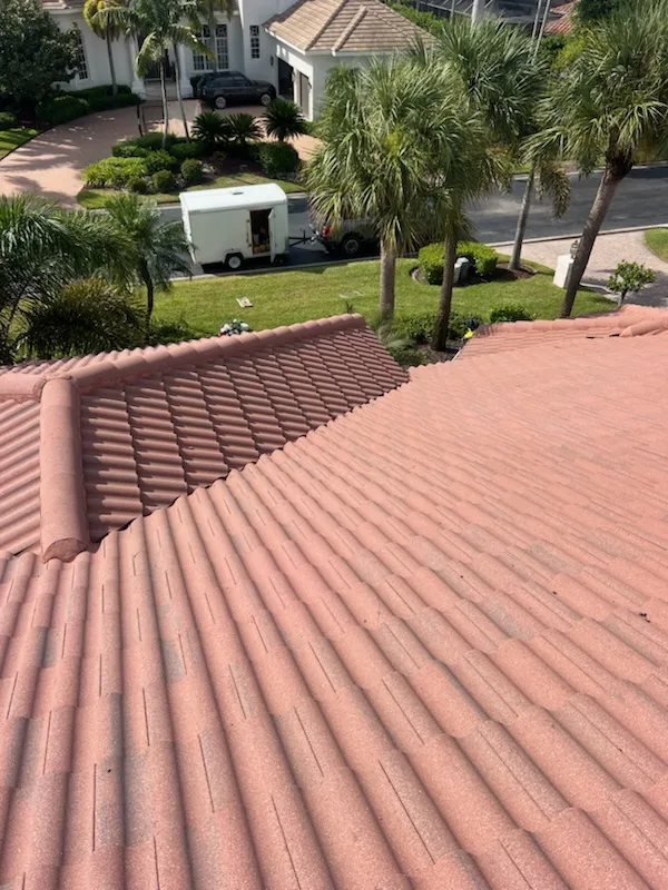 Soft Wash for the Roof project 11