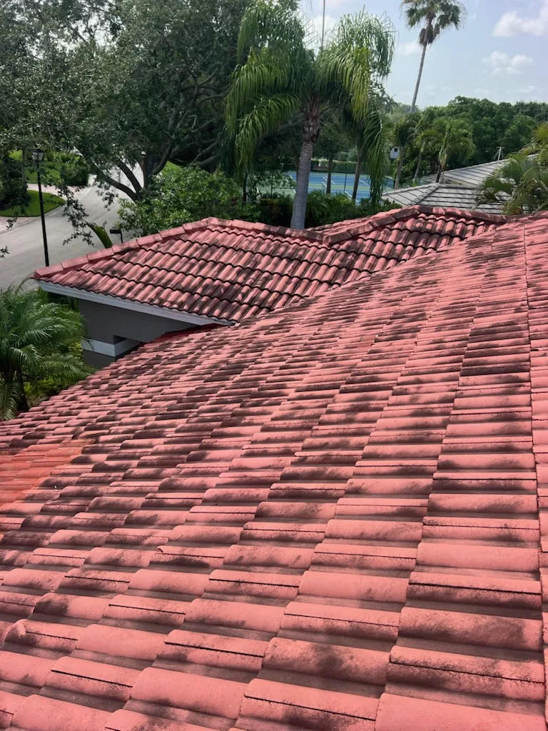 Soft Wash for the Roof project 12