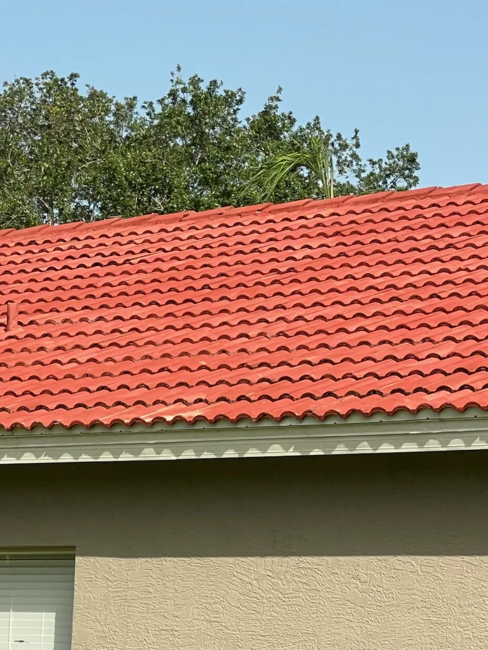 Soft Wash for the Roof project 13